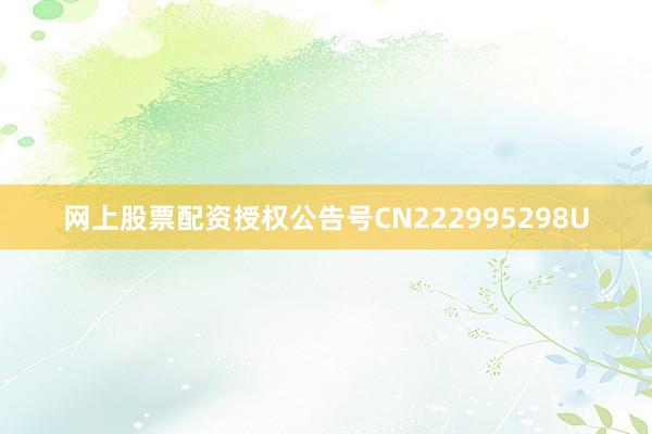 网上股票配资授权公告号CN222995298U