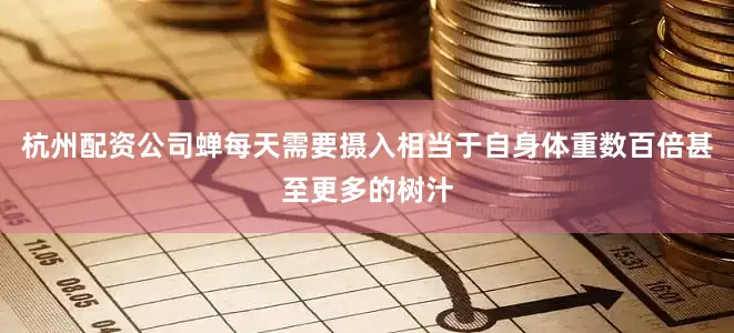 杭州配资公司蝉每天需要摄入相当于自身体重数百倍甚至更多的树汁