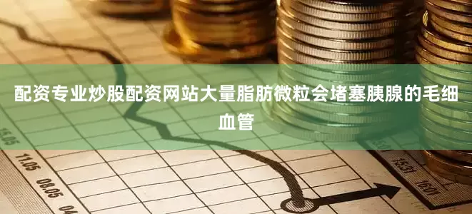 配资专业炒股配资网站大量脂肪微粒会堵塞胰腺的毛细血管
