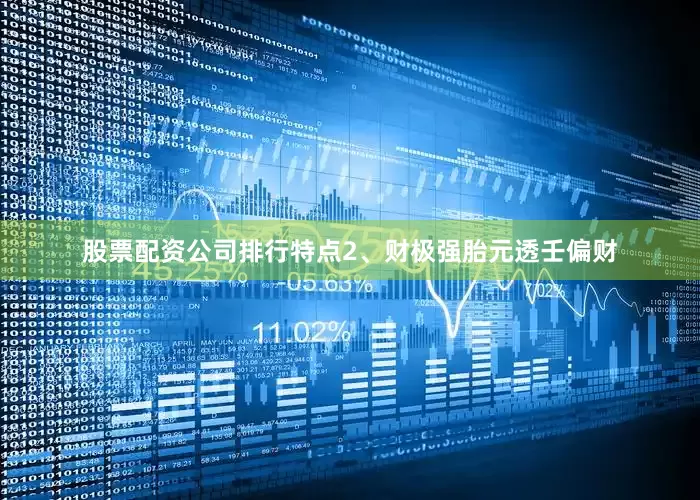 股票配资公司排行特点2、财极强胎元透壬偏财