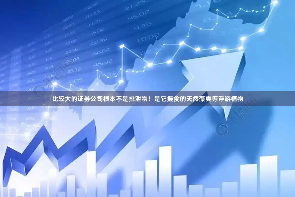 比较大的证券公司根本不是排泄物！是它摄食的天然藻类等浮游植物