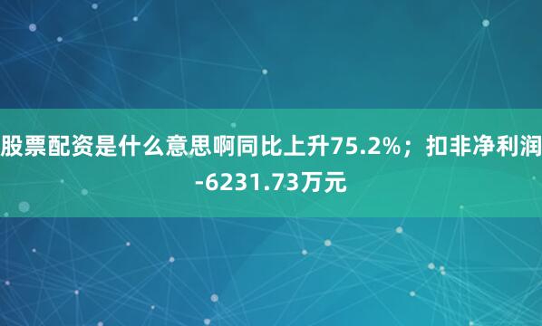 股票配资是什么意思啊同比上升75.2%；扣非净利润-6231.73万元