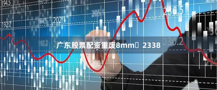 广东股票配资重废8mm	2338
