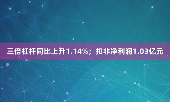 三倍杠杆同比上升1.14%；扣非净利润1.03亿元