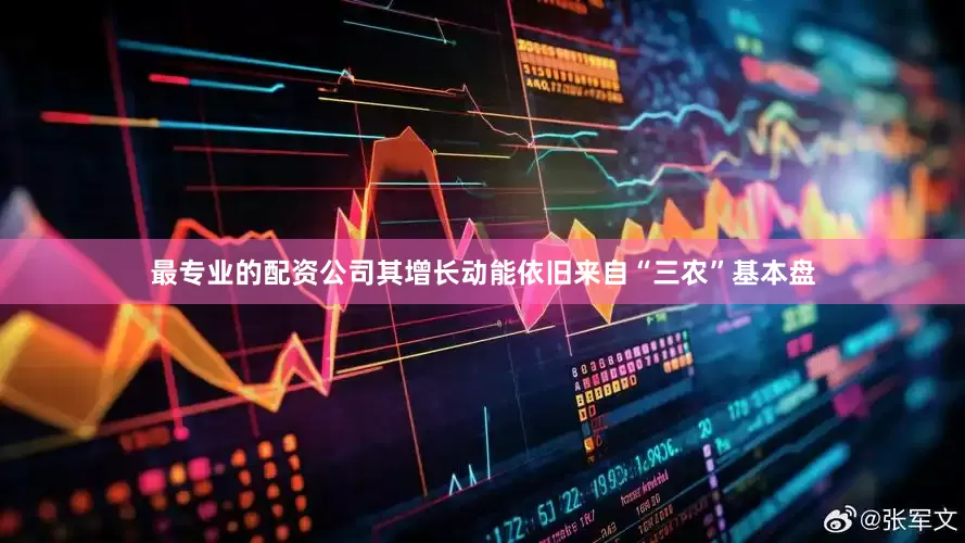 最专业的配资公司其增长动能依旧来自“三农”基本盘