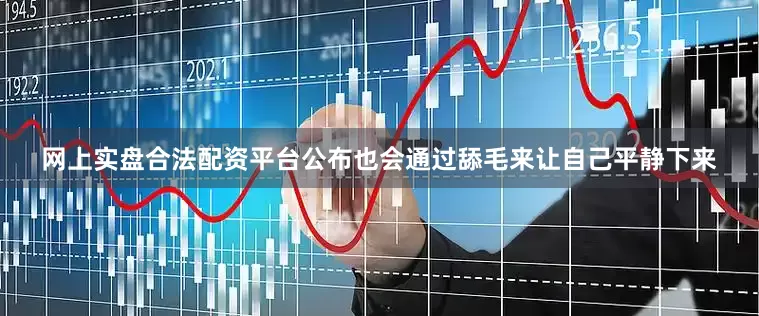 网上实盘合法配资平台公布也会通过舔毛来让自己平静下来